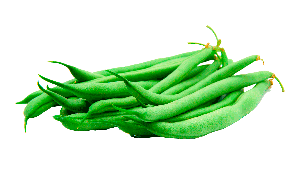 Fresh organic green beans