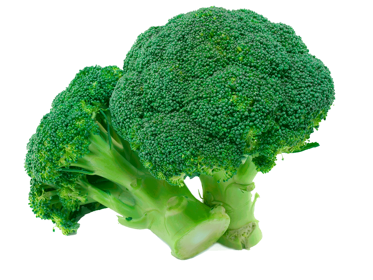 Organic Broccoli | Old Dominion Organic Farms